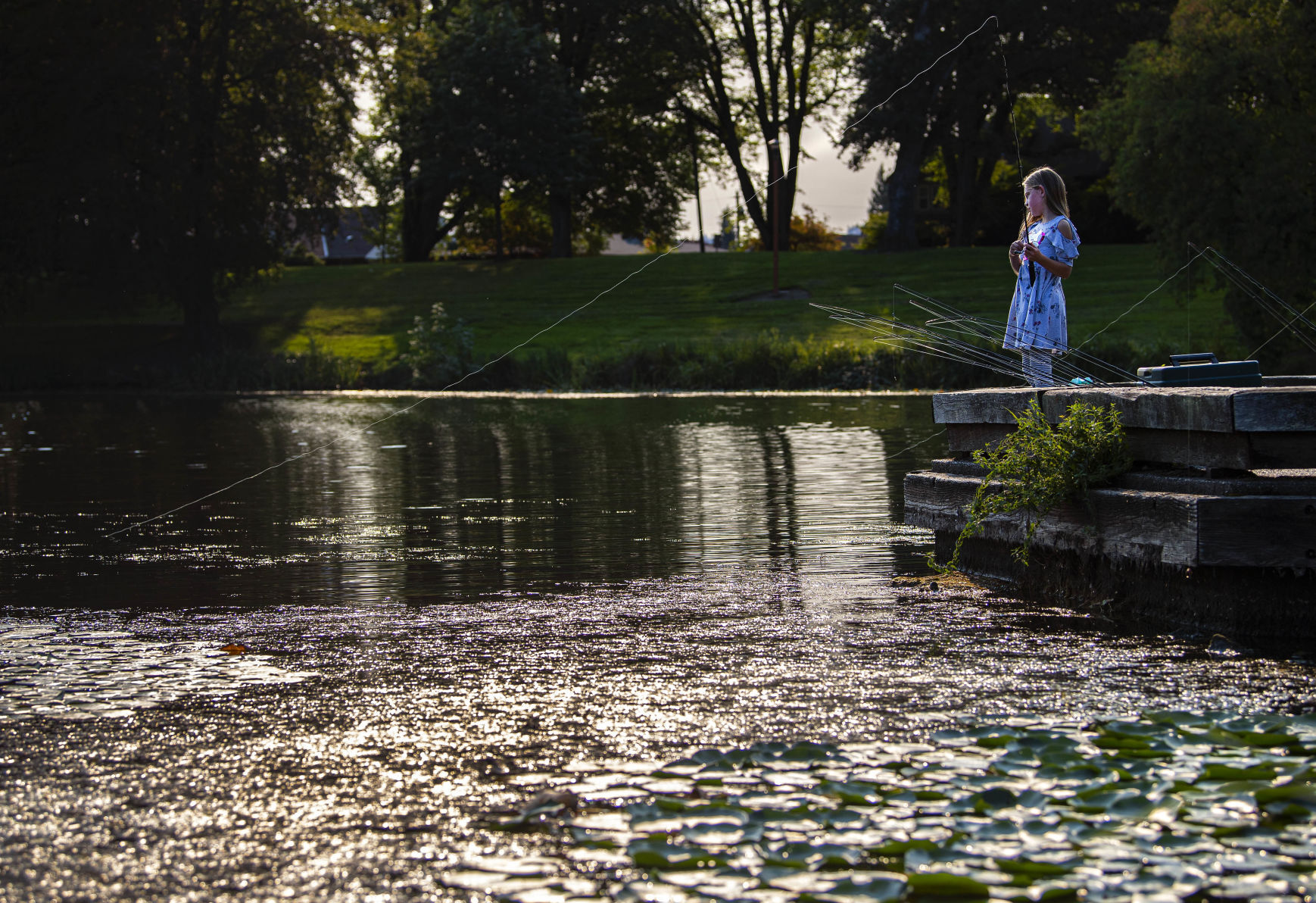 Fishing among the milfoil